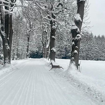 Garsonka V Srdci Vysociny Zďár nad Sázavou Exterior foto