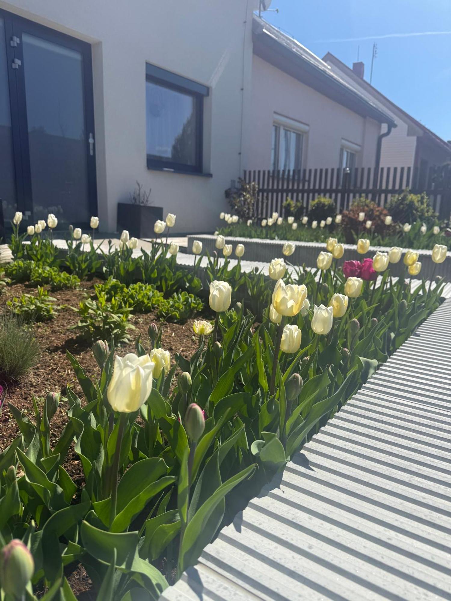 Garsonka V Srdci Vysociny Zďár nad Sázavou Exterior foto